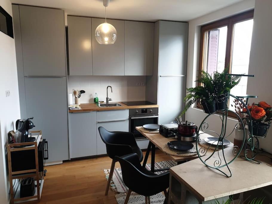 The Duplex Annecy Tgv; Vielle Ville Luaran gambar